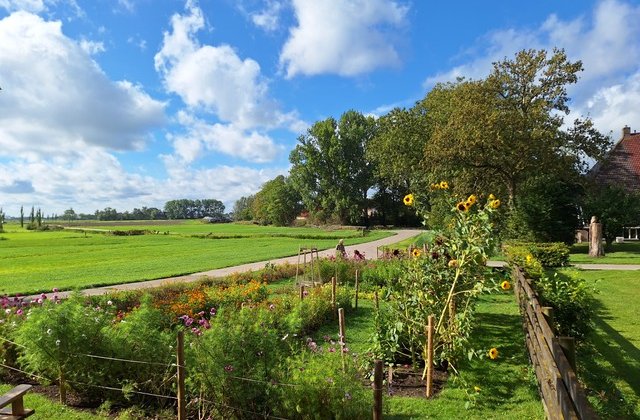 Ien jier pluktún: wat in weelde, wat in wille